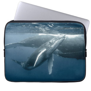 Kutest Baby Animals Humpback Whale Calf Laptop Sleeve