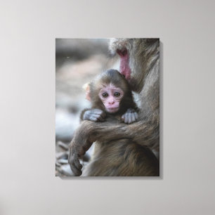 Kutest Baby Animals   Japanse aap en Baby Canvas Afdruk
