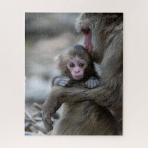 Kutest Baby Animals Japanse aap en Baby Legpuzzel