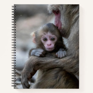 Kutest Baby Animals   Japanse aap en Baby Notitieboek