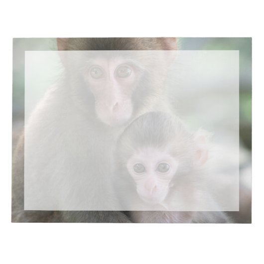 Kutest Baby Animals | Japanse apen Notitieblok (Voorkant)