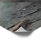 Kutest Baby Animals | Japanse apen Poster (Hoek)