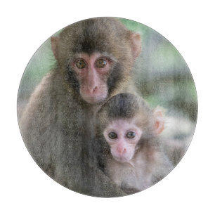 Kutest Baby Animals Japanse apen Snijplank