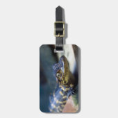 Kutest Baby Animals | Jonge Alligator Bagagelabel (Voorkant verticaal)