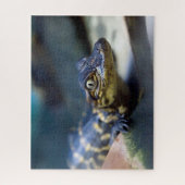 Kutest Baby Animals | Jonge Alligator Legpuzzel (Verticaal)