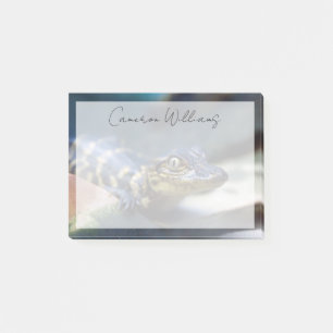 Kutest Baby Animals Jonge Alligator Post-it® Notes