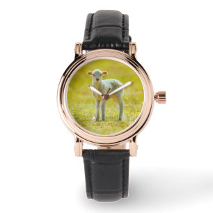 Kutest Baby Animals Jonge schapen Horloge