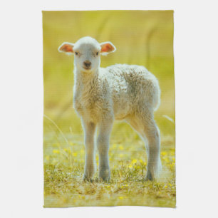 Kutest Baby Animals   Jonge schapen Theedoek