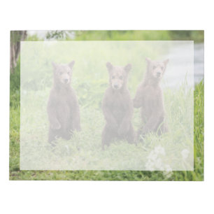 Kutest Baby Animals Kamchatka Brown Beer Cubs Notitieblok