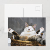 Kutest Baby Animals | Kat in bed Briefkaart (Voorkant / Achterkant)