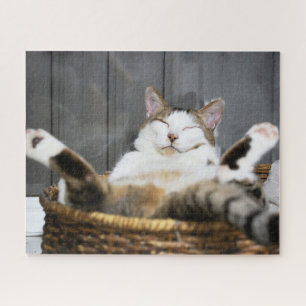 Kutest Baby Animals Kat in bed Legpuzzel