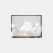 Kutest Baby Animals | Kat in bed Post-it® Notes (Voorkant)