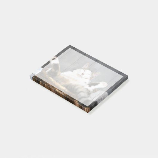 Kutest Baby Animals | Kat in bed Post-it® Notes (Schuin)