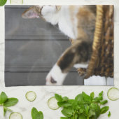 Kutest Baby Animals | Kat in bed Theedoek (Gevouwen)