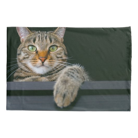 Kutest Baby Animals | Kat met grijze tabletten Kussensloop (Achterkant)