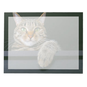 Kutest Baby Animals Kat met grijze tabletten Notitieblok