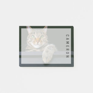 Kutest Baby Animals Kat met grijze tabletten Post-it® Notes