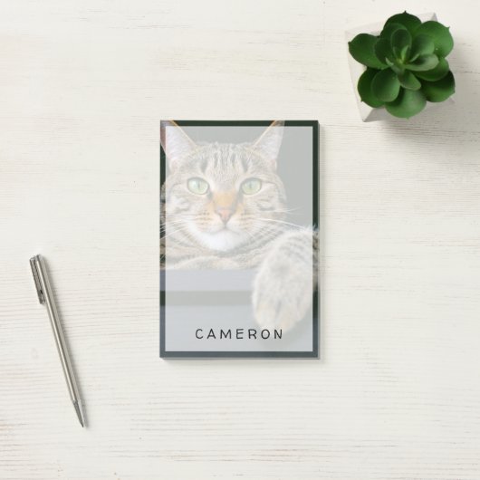 Kutest Baby Animals | Kat met grijze tabletten Post-it® Notes (Kantoor)