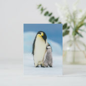 Kutest Baby Animals | keizer Penguin Chick Briefkaart (Staand voorkant)