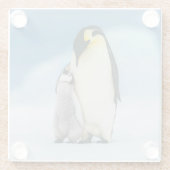 Kutest Baby Animals | keizer Penguin Chick Glazen Onderzetter (Achterkant)