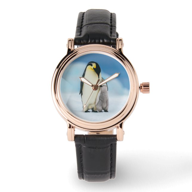 Kutest Baby Animals | keizer Penguin Chick Horloge (Voorkant)