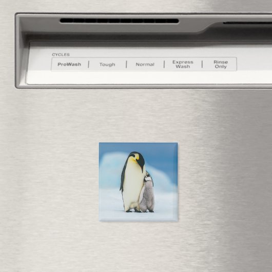 Kutest Baby Animals | keizer Penguin Chick Magneet (Insitu (Vaatwasser))