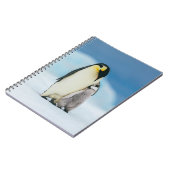 Kutest Baby Animals | keizer Penguin Chick Notitieboek (Linkerzijde)