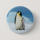Kutest Baby Animals | keizer Penguin Chick Ronde Button 5,7 Cm (Voorkant)