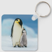 Kutest Baby Animals | keizer Penguin Chick Sleutelhanger (Achterkant)