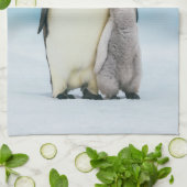 Kutest Baby Animals | keizer Penguin Chick Theedoek (Gevouwen)