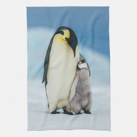Kutest Baby Animals | keizer Penguin Chick Theedoek (Verticaal)