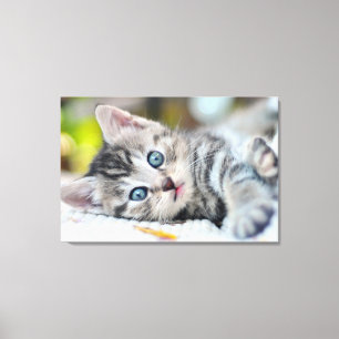 Kutest Baby Animals Keuken met blauwe ogen Canvas Afdruk