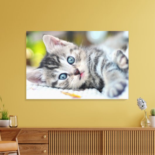 Kutest Baby Animals | Keuken met blauwe ogen Canvas Afdruk (Insitu (Woonkamer))