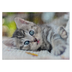 Kutest Baby Animals Keuken met blauwe ogen Snijplank