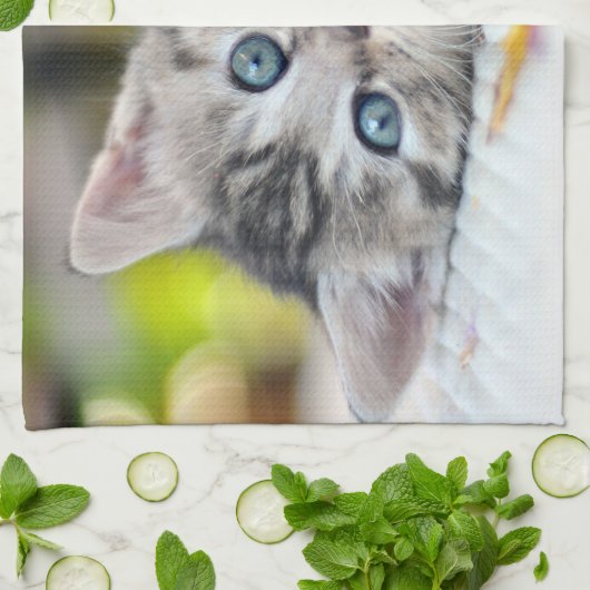 Kutest Baby Animals | Keuken met blauwe ogen Theedoek (Gevouwen)