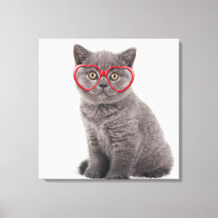 Kutest Baby Animals Keukenhars Canvas Afdruk