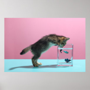 Kutest Baby Animals   Keukenkijker op de vis Bowl Poster