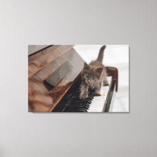 Kutest Baby Animals   Keuten op Piano Canvas Afdruk