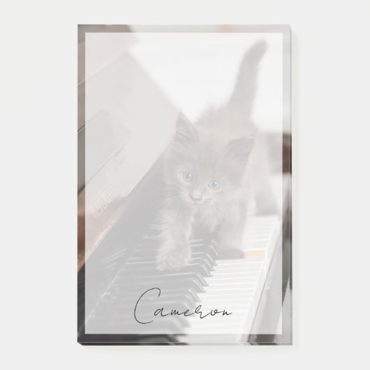 Kutest Baby Animals | Keuten op Piano Post-it® Notes (Voorkant)