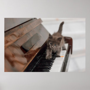 Kutest Baby Animals   Keuten op Piano Poster