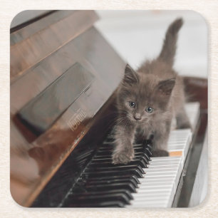 Kutest Baby Animals Keuten op Piano Vierkante Kartonnen Onderzetter