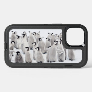 Kutest Baby Animals   Kippen van keizer Penguin