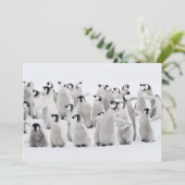 Kutest Baby Animals | Kippen van keizer Penguin Bedankkaart (Staand voorkant)