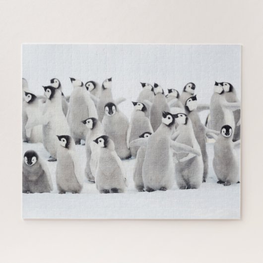 Kutest Baby Animals | Kippen van keizer Penguin Legpuzzel (Horizontaal)