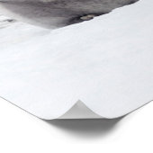 Kutest Baby Animals | Kippen van keizer Penguin Poster (Hoek)