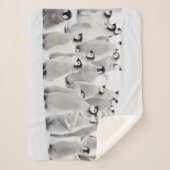 Kutest Baby Animals | Kippen van keizer Penguin Sherpa Deken (Voorkant)