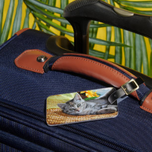 Kutest Baby Animals   Kitten Lounging Bagagelabel