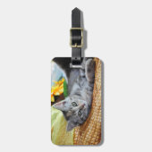 Kutest Baby Animals | Kitten Lounging Bagagelabel (Voorkant verticaal)