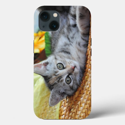 Kutest Baby Animals | Kitten Lounging Case-Mate iPhone Case (Achterkant)