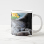 Kutest Baby Animals | Kitten Lounging Extra Grote Beker (Rechts)